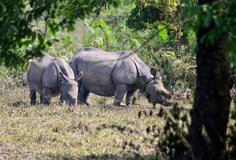 Destination in Shillong & Meghalaya