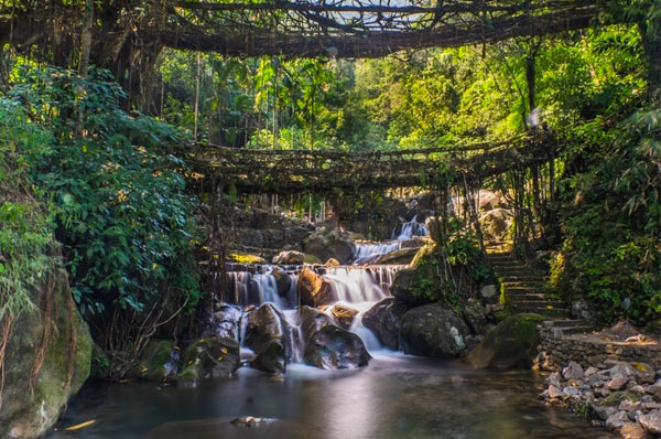 Shillong  Guwahati Honeymoon Tour