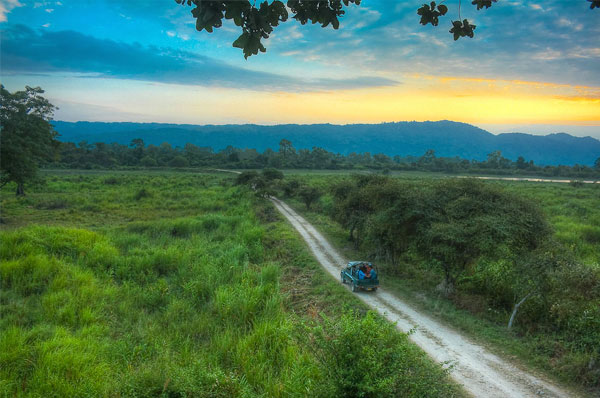 Exotic  Kaziranga Guwahati Trip with Jeep Safari