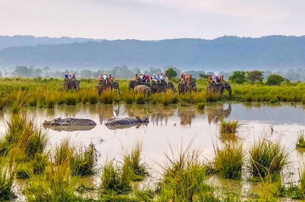 07 Days Honeymoon  Kaziranga National Park , Shillong Guwahati
