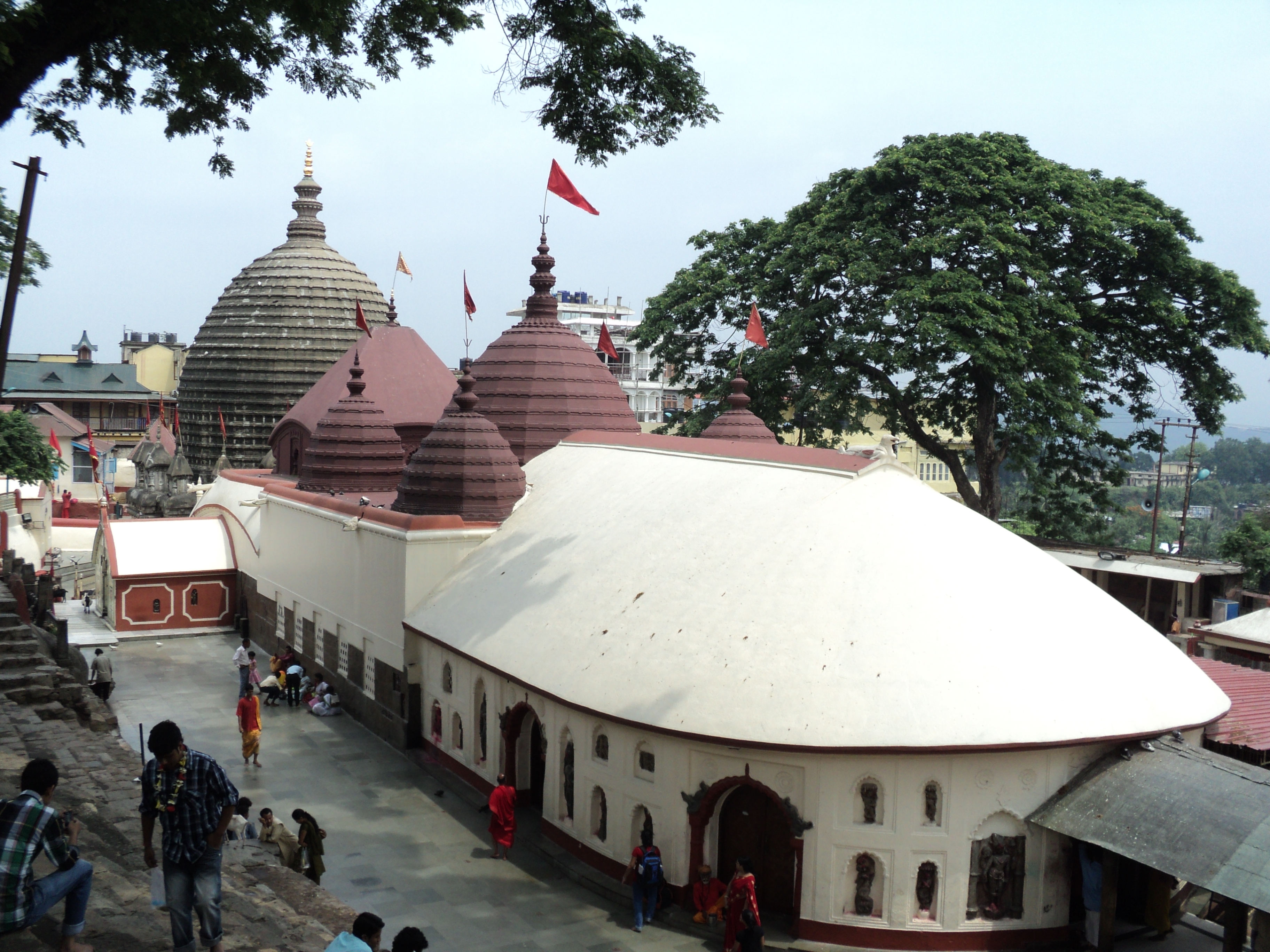 Kaziranga Guwahati Trip with Jeep Safari