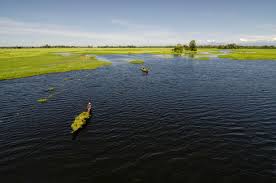 Majuli
